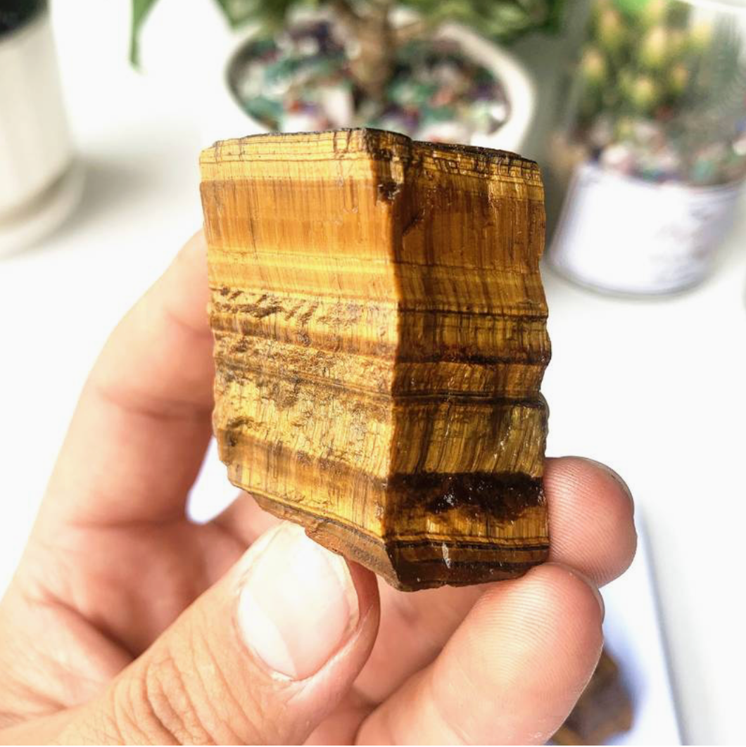 Tígrisauga - Tigers eye (2.5 - 3.5 cm)